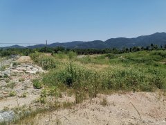 嵊州市浦口街道大江村等2021-19号（工业）地块土石方