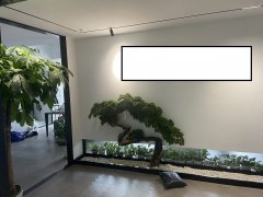 杭州市上城区森禾商务广场1幢（B座）3处商业用房5年使用权转让